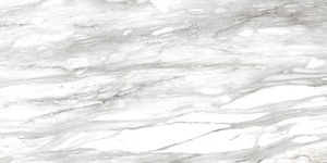 Carreaux de porcelaine DLG-98 à forte demande pour les projets de revêtements de sol résidentiels et commerciaux disponibles à un prix abordable - Product Image 4