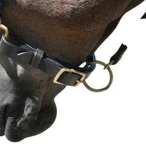 Best Leather Horse Halter AL RAHMAN TACKS Color/tamaño personalizado Nuevo diseño Venta Precio bajo Fabricante indio Equitación - Product Image 6