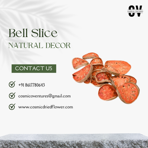 Rebanada de campana de calidad superior para boda, evento en casa, decoración de oficina y arreglo de flores secas para graduación, Halloween - Product Image 5