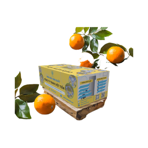 Wall Mounted Square <b>AC</b> 1HP 3HP Condensate Pump Automatic Drainage Mini Quiet Pump for Staircase & Gym HVAC Systems - Product Image 2