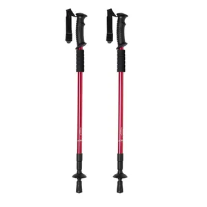 Set di Bastoni da Passeggio Personalizzati Brulen, Gadget Unici su Misura - Product Image 4