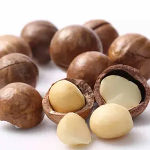 Premium Grade Raw Organic Macadamia Seed Packaging Origin Type Macadamia Nuts In Shell