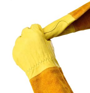 Gants de jardinage en cuir de vachette anti-épine OEM pour femmes/hommes poignées de protection de l'avant-bras longues pour l'élagage des roses/mûres - Product Image 5