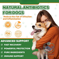 Gouttes liquides antibiotiques personnalisées OEM/ODM pour animaux de compagnie (chiens et chats) – Traitement des infections oculaires, auriculaires et cutanées – Formule vétérinaire à absorption rapide – Durée de conservation : 2 ans
