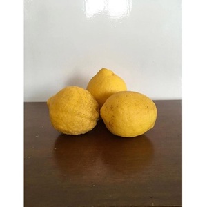 มะนาวสดออร์แกนิคสีเขียวและสีเหลือง ขายส่ง มีจำหน่าย - Product Image 3