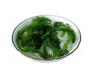 DRIED SEA GRAPE DISCOUNT FOR FIRST ORDER NATURAL DELICIOUS SEA GRAPES