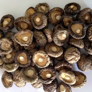 Champignon shiitake séché de haute qualité/prix de gros du Vietnam - Product Image 1