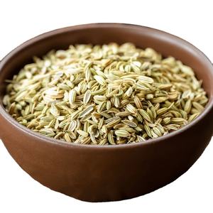 export natural organic fennel seeds wholesale price spice herbs