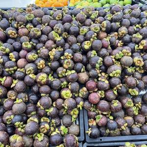 Mangostán Tailandés Orgánico Fresco Premium - Dulce, Jugoso, Rico en Antioxidantes, Grado Khey, Marca Taladthai, 1-2 Semanas de Duración, Delicioso Sabor - Product Image 2