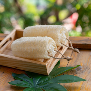 Vendeur chaud 2025!!! Bain éponge luffa/luffa personnalisé naturel de haute qualité et prix le moins cher au Vietnam - Product Image 5