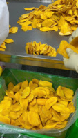 Premium kwaliteit zachte gedroogde mango, zoete smaak, gesneden, Vietnam oorsprong, cadeauverpakking, vacuüm verpakt voor internationale importmarkten