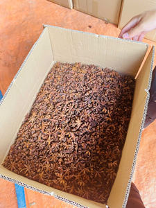 Auténtico anís estrellado vietnamita de Primavera/otoño 100% PROVINCIA DE Lang Son 10kgs/cartón; suministro de alto volumen a precios razonables - Product Image 6