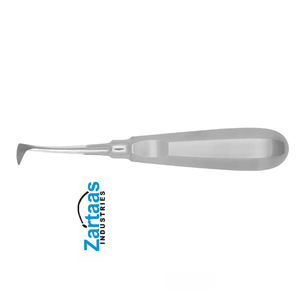 EXPORTATEURS et fabricant de RACINES en acier inoxydable de haute qualité SELDIN fig 1R - Product Image 4