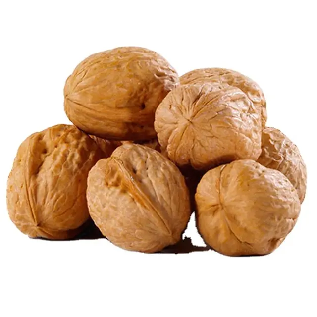 Walnuts Kernels Hot Selling 33 Inshell Prices Chinese Walnuts Kernels With Low Price