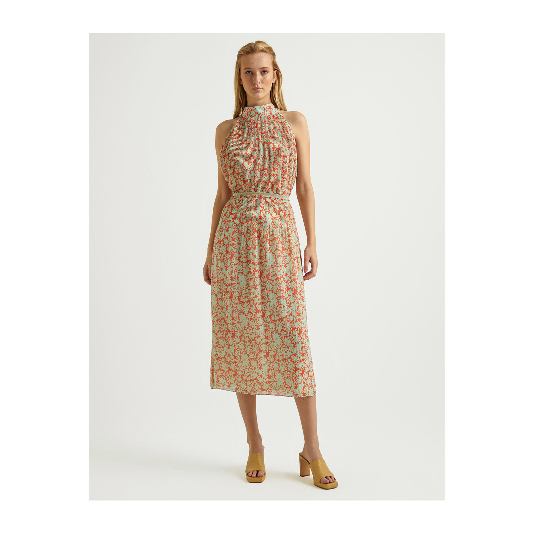 ดอกทับทิม