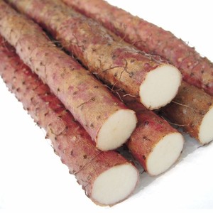 Exportación a Granel de Ñame Fresco Calaba, Proveedor Mayorista Directo de Fábrica para Compradores Globales, Tiendas Minoristas y Cadenas de Servicios de Alimentos en Todo el Mundo - Product Image 5