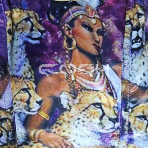 Corsé con estampado de leopardo y diseño de reina de la naturaleza, con varillas de acero y diseño sobre el busto. - Product Image 3
