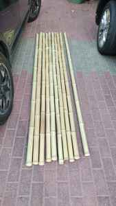 Estacas de bambú seco | Tratamiento antimoho personalizado | Agricultura | Fabricante - Product Image 2