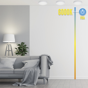 Faretto LED da Superficie 20 Watt 1800 Lumen 6000K - Product Image 4