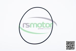 Original/OEM O-Seal para MWM Nuevas piezas de motor de gas natural para motor de maquinaria - Product Image 5