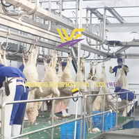 Équipement complet d'abattage de chèvres et de moutons avec pompe à moteur et PLC pour ligne d'abattage de petite à moyenne taille à vendre
