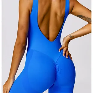 2024 Oem Seamless Hollow Beautiful Back Yoga Clothes Tight Sports Fitness Butt Lifting Yoga Jumpsuit