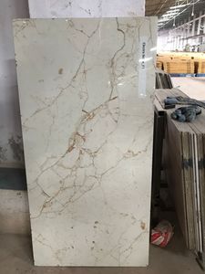 Meilleure qualité 600x600mm Skytouch Carreaux de sol Beige brillant Designs Style classique Argile modifiée Premier exportateur indien - Product Image 6