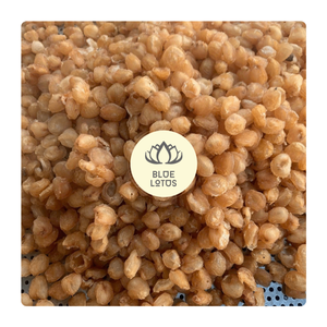 Textura no fibrosa tierna y carnosa seca de Longan Vietnam para una experiencia alimentaria superior Fruta a granel más vendida - Product Image 1