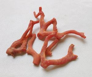 ปะการังแดงดิบ 100% ธรรมชาติ ปะการังอิตาลี หินมีค่า รูปทรงกิ่งไม้ ไม่ขัดเงา คุณภาพ AA++ ปะการังแท่ง หินมีค่า ปะการังแดงแท่ง - Product Image 4