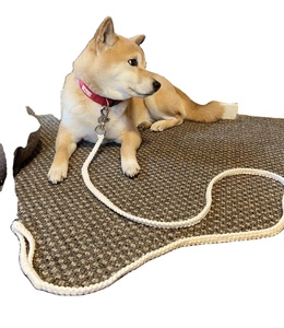 เชือกคอตตอน Macrame สายจูงสัตว์เลี้ยง - Product Image 1