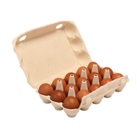 12 Oeufs de Poulet Carton Papier Dimensions Boîte Fabriquée par Pâte à Papier Biodégradable Prix Bon Marché Plateau à Oeufs Fabriqué au Viet Nam Fabricant