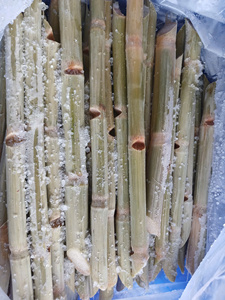 Canne à sucre congelée du Vietnam, produit d'approvisionnement fiable pour les transformateurs de boissons recherchant une qualité stable et une coopération à long terme - Product Image 3