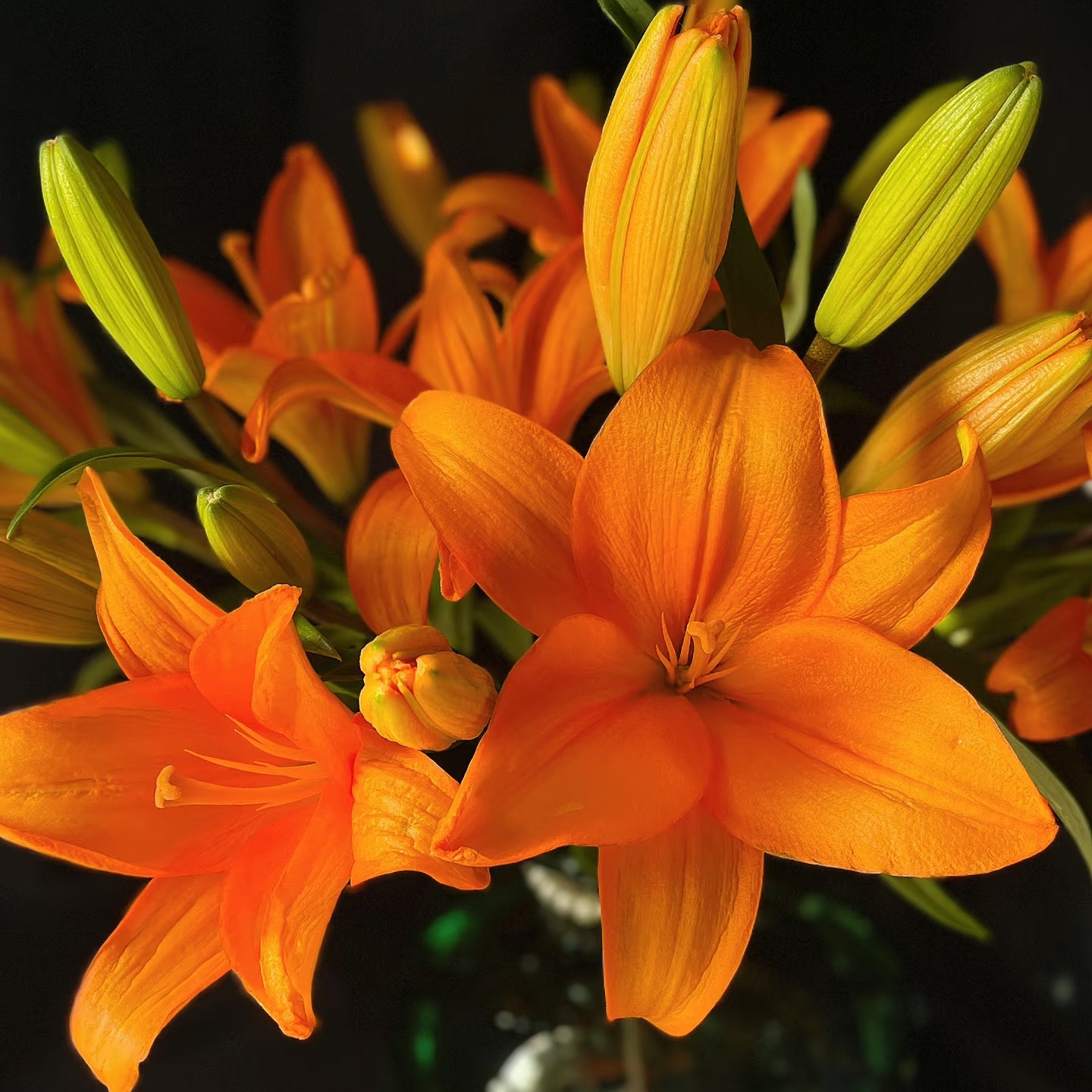 Lys asiatique orange à double floraison