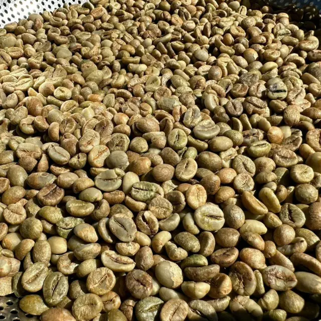 4.8 $/kg bán buôn bán lẻ cà phê Việt Nam ban đầu cau dat Lam Dong cà phê Arabica Robusta cà phê thô Mr.Tony WhatsApp + 84938736924