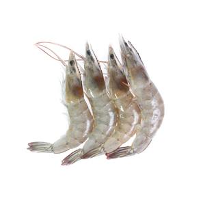 Camarones tigre enteros de calidad de exportación ofrecidos a precio directo de fábrica para compradores - Product Image 6
