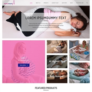 Concepteur de site Web d'entreprise et développeur Portail de commerce électronique avec passerelle de paiement Société de développement Web Shopify Magento Theme CRM - Product Image 5