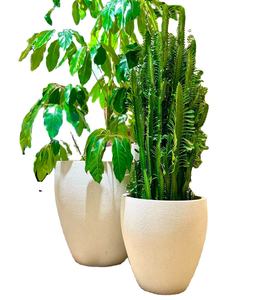 Jardinières en fibre de verre de haute qualité personnalisables en taille et en couleur pour la décoration de jardin - Product Image 1