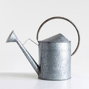 Regadera Grande de Acero Inoxidable Más Vendida, Diseño Moderno, Jarra para Flores con Boquilla Grande, Ideal para Regar Plantas - Product Image 5