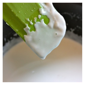 Lait de coco congelé IQF du Vietnam 28% liquide gras goût naturel pour les aliments végétaliens Smoothies au café au curry et exportation en vrac - Product Image 6