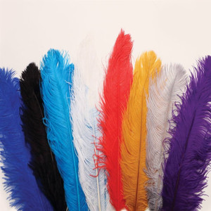 Plumes naturelles de vente en gros de plumes d'autruche de prix usine avec la meilleure qualité pour le mariage, le carnaval, le bricolage et plus - Product Image 5
