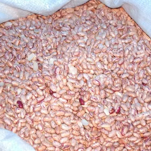 Frijoles Orgánicos Secos de Primera Calidad a Granel 25 kg Bélgica - Product Image 1