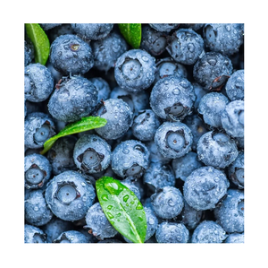 Vente en gros pas cher prix meilleure qualité fruits bleuets frais à vendre exportations dans le monde entier - Product Image 5