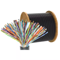 Câble téléphonique interne en cuivre multipaire/multicœur pour extérieur, 5, 10, 30, 50, 100 paires, fabriqué en usine OEM