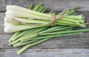 การจัดหาตะไคร้จากเวียดนาม: การสั่งซื้อจำนวนมากที่ปรับแต่งสดหรือแช่แข็ง - Product Image 2