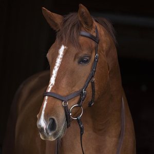Micklem Competition Brida Hot Multi Color Cuero genuino Caballo Brida Tamaño completo Venta al por mayor nuevo Caballo de alta calidad Snaffle - Product Image 2