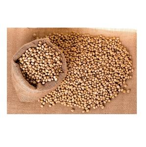Wholesale Quality High Grade Non Gmo Organic Yellow <b>Soybeans</b> Delicious <b>Soybeans</b> Sale by Bulk Supplier - Product Image 2