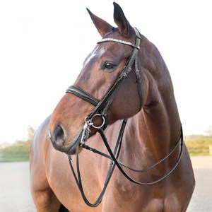 Weymouth Dressage Bridle - Black Sports & Entertainment Outdoor Abordable Luxury Sports Horse Racing Bridle Customization - Product Image 1