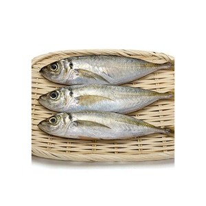 Atún cabrón congelado a granel, captura de alta calidad a precios competitivos - Product Image 2