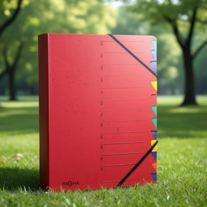 PAGNA Easy Din <b>A4</b> 225g/m Red Pressed Chipboard File <b>Folder</b> with 12 Compartment Block Multicolored Compartments - Product Image 3