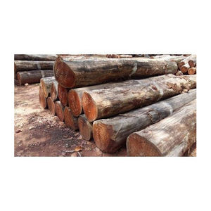 <b>Wood</b> <b>Log</b> Pine Saw <b>Logs</b> in Cheap Price White Ash Kay High Quality Eucalyptus <b>Wood</b> <b>Logs</b> Square and Round Patterns Wholesale - Product Image 1